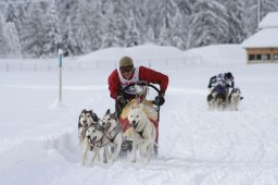 2008_Spluegen