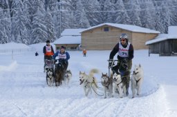 2008_Spluegen
