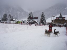 2008_Studen