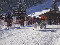 2008_Studen