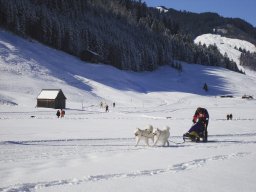 2008_Studen