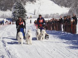 2008_Studen