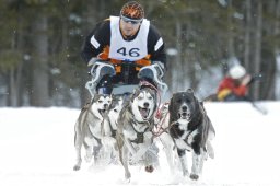 Kandersteg 2009 EM