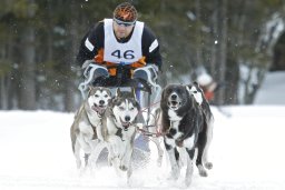 Kandersteg 2009 EM