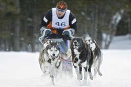 Kandersteg 2009 EM