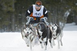 Kandersteg 2009 EM