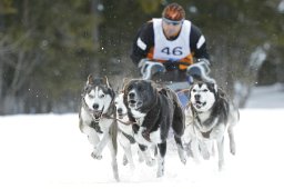 Kandersteg 2009 EM