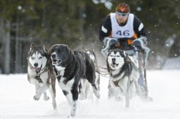 Kandersteg 2009 EM