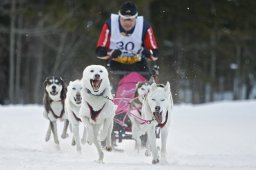 Kandersteg 2009 EM
