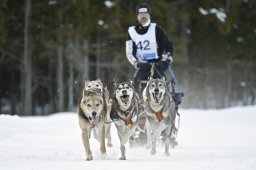 Kandersteg 2009 EM