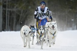 Kandersteg 2009 EM