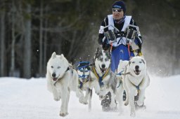 Kandersteg 2009 EM