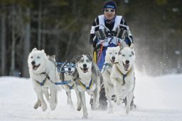 Kandersteg 2009 EM