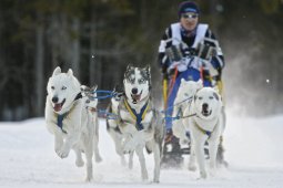 Kandersteg 2009 EM
