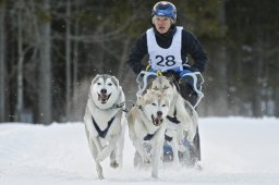 Kandersteg 2009 EM