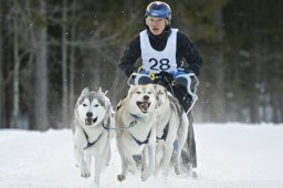 Kandersteg 2009 EM