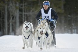 Kandersteg 2009 EM