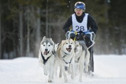 Kandersteg 2009 EM