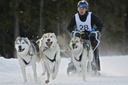 Kandersteg 2009 EM