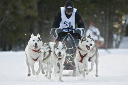 Kandersteg 2009 EM