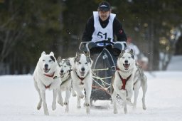 Kandersteg 2009 EM