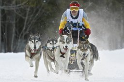Kandersteg 2009 EM