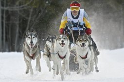 Kandersteg 2009 EM