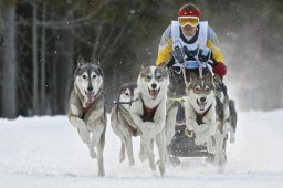 Kandersteg 2009 EM