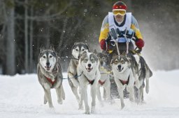 Kandersteg 2009 EM