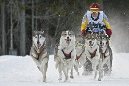 Kandersteg 2009 EM