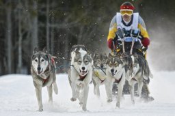 Kandersteg 2009 EM