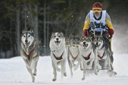 Kandersteg 2009 EM