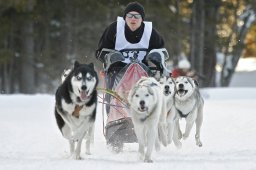 Kandersteg 2009 EM