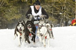 Kandersteg 2009 EM