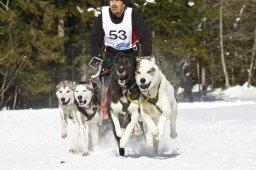 Kandersteg 2009 EM
