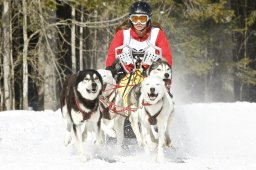 Kandersteg 2009 EM