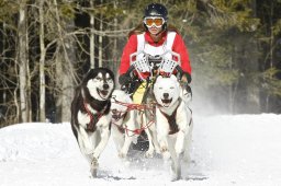 Kandersteg 2009 EM
