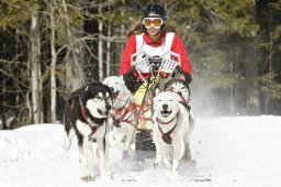 Kandersteg 2009 EM