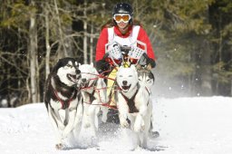 Kandersteg 2009 EM