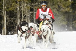 Kandersteg 2009 EM