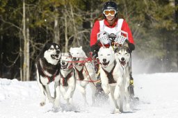 Kandersteg 2009 EM