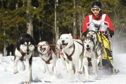 Kandersteg 2009 EM