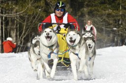 Kandersteg 2009 EM