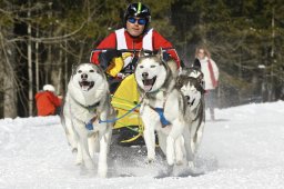 Kandersteg 2009 EM