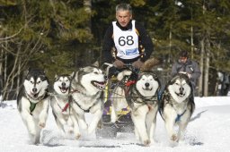 Kandersteg 2009 EM