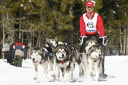 Kandersteg 2009 EM