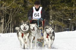 Kandersteg 2009 EM