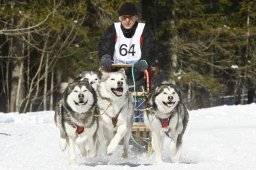 Kandersteg 2009 EM