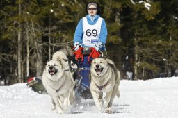 Kandersteg 2009 EM