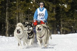 Kandersteg 2009 EM